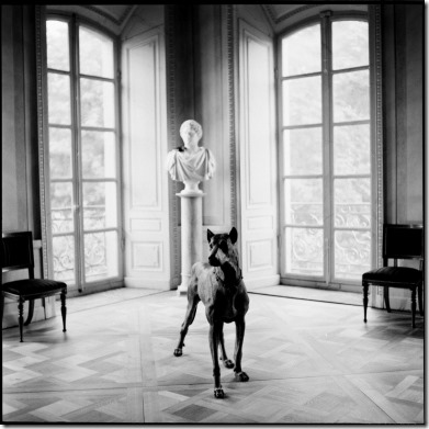 Silence Set - Teeth Out