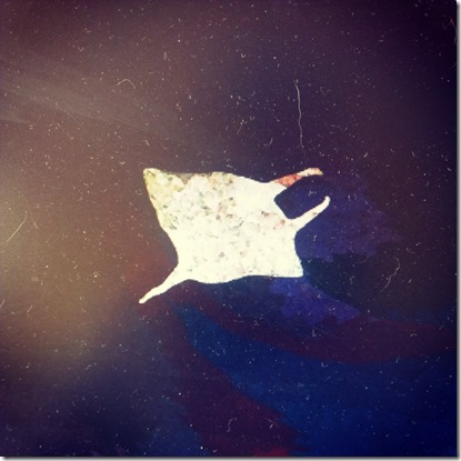 Matt Christensen – Prowl