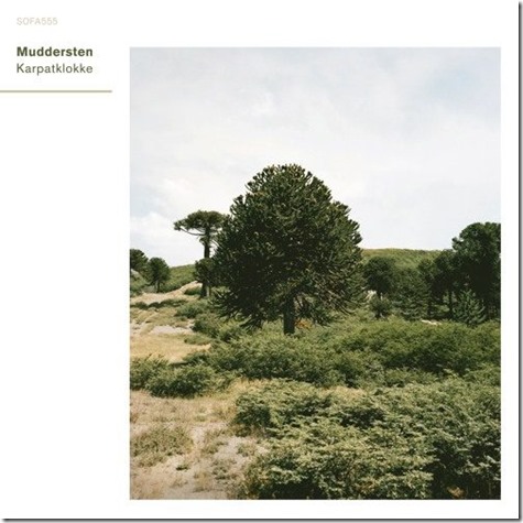 Muddersten – Karpatklokke