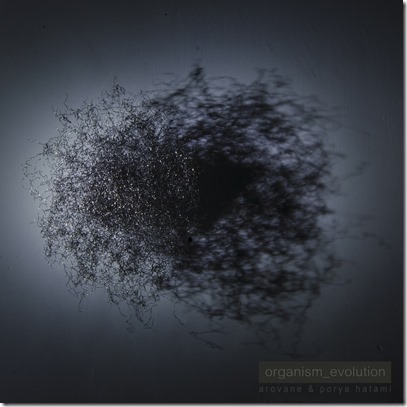 arovane-porya-hatami-organism-evolution