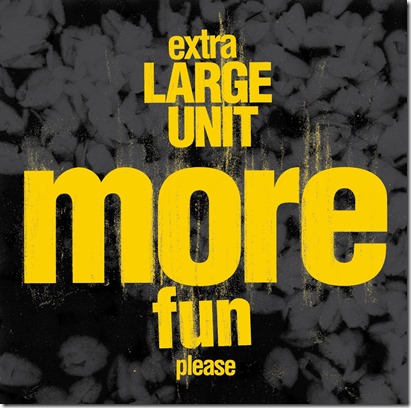 more_fun_please-42547043-