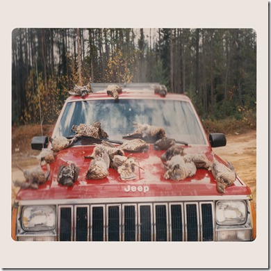 cover_1551113580700996