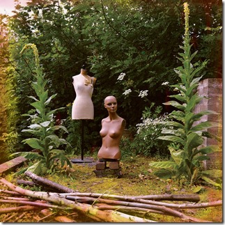 Damn Teeth - Real Men