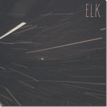 Elk - Beech