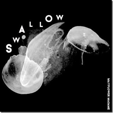Mayflower - Swallow