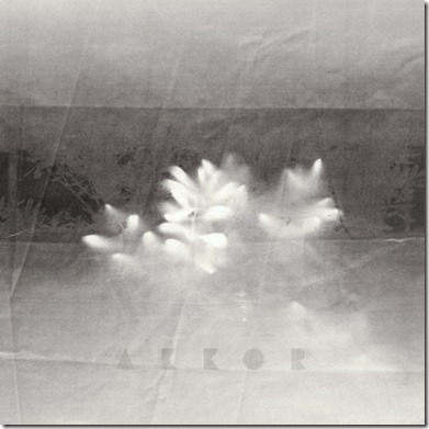 ab67616d0000b273bb0dcd9056ba287609672243