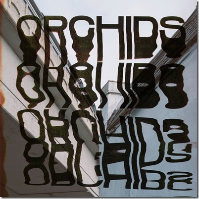 Orchids