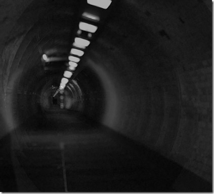 thumbnail_Lumbering Cover