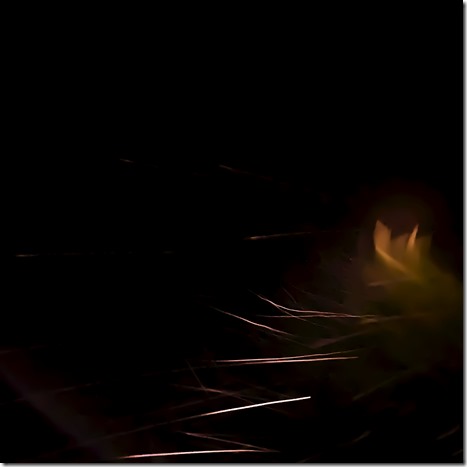 gt49_front gt49_front