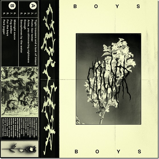 COWER_BOYS-CoverArtwork