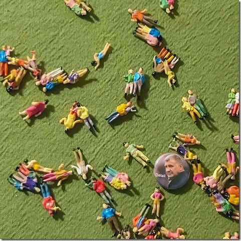 The Incidental Crack - Detail (cover)