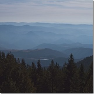 thumbnail_F2C5EB30-EA59-44B4-8F8B-085165E8B653