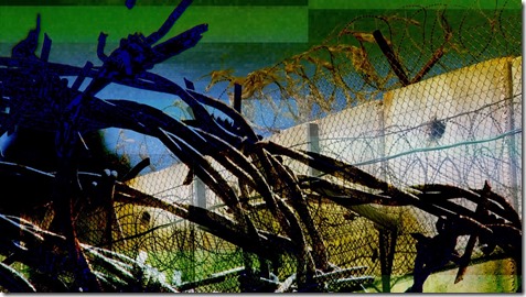 ced69b3b5ff7b330757db67925c2b48c268a2c4c