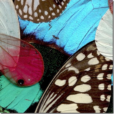 9b94c80b8ba67b087a7f7f5658c899c75a6b7622