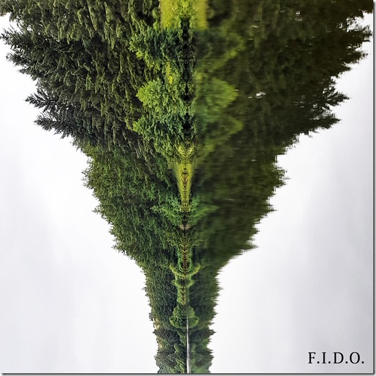 BEDSIT - _F.I.D.O._ ARTWORK