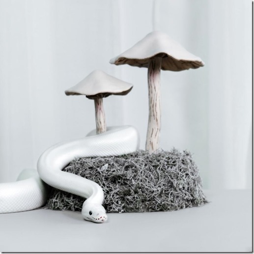 LUNA AURA - CANDY COLORED DAYDREAM copy