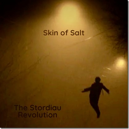artwork-album_Skin-Of-Salt