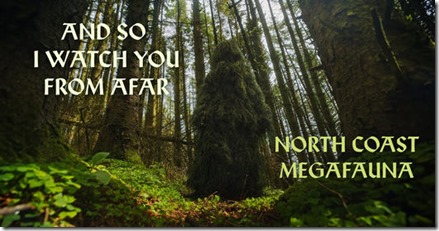 441964603_6593426110495_7554639745285294722_n