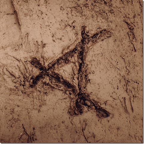 HW043_Cassels_TrackedInMud_DigitalArtwork