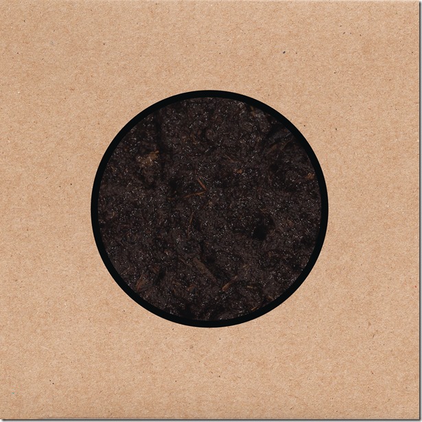 SwansBirthingalbum-cover-artwork-