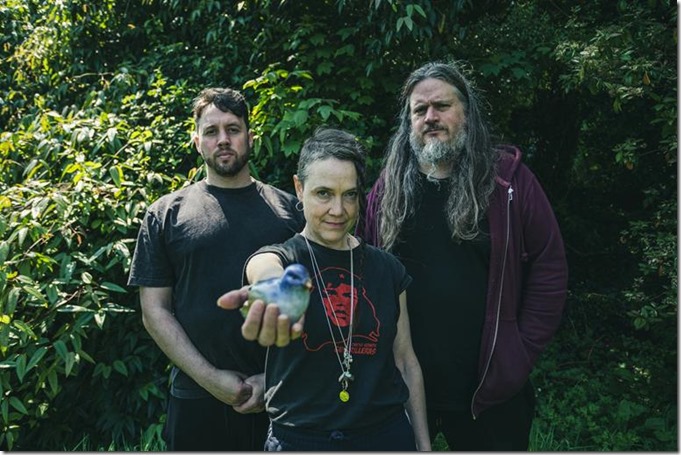 Run-bird2colour1-990451014504513c